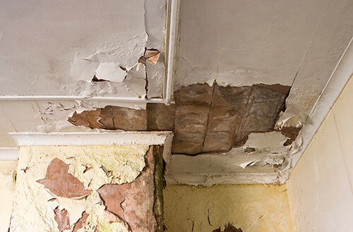 damp and mould growth due to poor insulation